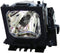Electrified ZU0296 04 4010 Replacement Lamp with Housing for Liesegang Projectors......