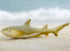 Gemini&Genius Marine Animal World Toy Lemon Shark Ocean Shark Action Figure Sea Animal Great White Shark Action Figure Soft Rubber Toys Role Play ...