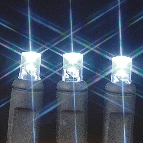 Novelty Lights 50 Light LED Christmas Mini Light Set, Outdoor Lighting Party Patio String Lights, Pure White, Black Wire, 11 Feet...