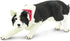 Safari Ltd. Border Collie Figurine - Detailed 5" Plastic Model Figure - Fun Educational Play Toy for Boys, Girls & Kids Ages 3+...