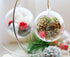 Plastic Ball Ornament, 70mm, Clear, Pack of 12 (70 mm)...