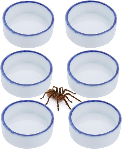 6 Pack Tarantula Ceramic Feeding Bowl Hermit Crab Water Bowl Spider Small Reptile Micro Ceramic Food Dish (1.37" D, 0.51" H)...