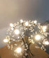 E14 2W LED Bulb Mini Globe Crystal Light (20W Equivalent) E14 Candle Base Chandeliers Light Glass Cob Decorative Light for Home Lighting Ceiling F...