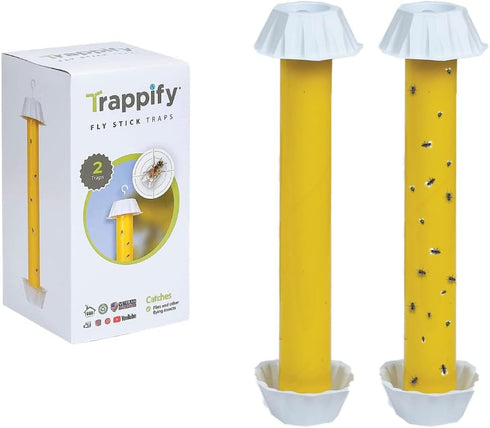 Trappify Hanging Fly Traps Outdoor: Fruit Fly Traps for Indoors | Gnat Traps for House Indoor | Fly Trap Indoor - Disposable Sticky Fly Trap for I...