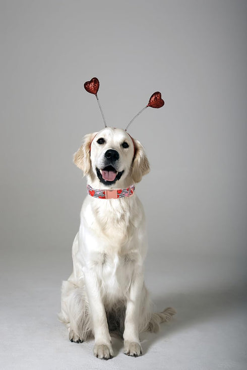 Lionet Paws Valentine Day Dog Collar, Heavy-Duty Cute Red Heart pattern Fabric Pet Collar with Metal Buckle Necklace for Small Gift, Neck 10-16 in...
