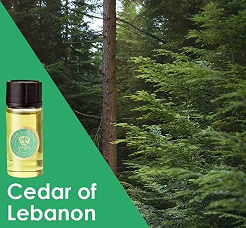 Anointing Oil from Israel - Set of 3 Anointing Oil from Jerusalem - Pomergranate, Cinnamon & Cedar of Lebanon Biblical Oils | Total Amount 1oz Ano...