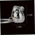 Rat Keychains 3pcs Couple Car Keychains s Year of Rat for Year of The Rat Bag Keychain Mouse Keychain Mouse Key Ring Keychain Pendant Key Chain Ba...