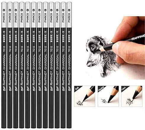 12pcs Sketch Charcoal Pencil, Professional Non-toxic Drawing Sketching Blending Charcoal Pencils Set (Hard, Medium, Soft)(Soft)...