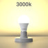 12V LED Light Bulbs, 12W 1050LM Warm White 3000K, 80W Equivalent 12-24Volt Low Voltage E26 Base AC/DC Light Bulbs for Off Grid Solar Lighting Mari...