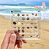 Seashell Display Box, Acrylic Magnetic Seashell Display Box, 36/64 Grid Display Cases for Collectibles, DIY Transparent Seashell Storage Box Displ...