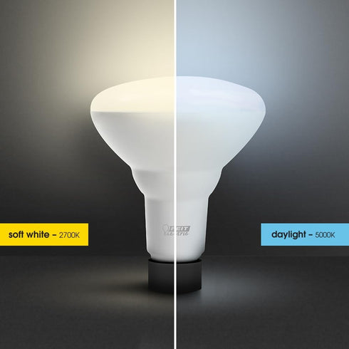 Feit Electric BR30 LED Light Bulb, 65W Equivalent, Dimmable, 650 Lumens, E26 Standard Base, 5000K Daylight, 90 CRI, Recessed Can Light Bulbs, 22-Y...