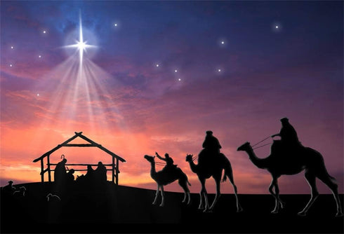 AOFOTO 7x5ft Stable Nativity Scene Background Shiny Star Birth of Christ Jesus Camels Sheeps Sketch Manger Scene Background for Church Concert Dec...