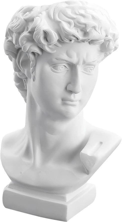 David Statue Vase - 6 Inch Greek Bust Head Aesthetic Planter White Home Decor Roman Style Resin Succulent Flower Planter Pot Sculpture Brushes Hol...