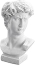 David Statue Vase - 6 Inch Greek Bust Head Aesthetic Planter White Home Decor Roman Style Resin Succulent Flower Planter Pot Sculpture Brushes Hol...