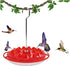 Best Hummingbird Feeders for Outdoors Hanging, Easy Clean Fill Wasp Leak Proof, Mary's Sweety Hummingbird Feeder Gifts for Window Garden, More Bir...