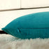 Artcest Set of 2, Cozy Solid Velvet Throw Pillow Case, Decorative Couch Cushion Cover, Soft Sofa Euro Sham with Zipper Hidden, 12"x20" (Light Teal...