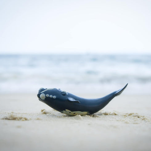 Gemini&Genius Right Whale Action Figure, Shark Animal Ocean Blackfish Toys, Soft Rubber Ocean Whale Shark, Great for Kids Bath Toys, Swimming Toys...