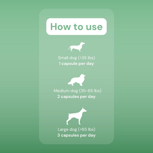 OptiMins Dog Vitamin & Mineral Capsules - Essential Nutrients for Health - Vitality & Immune Support - Multivitamin, Amino Acids, and Minerals for...
