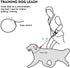 Dog Ultra-fine Leash,slip leads for dogs,Pet Training Leash,Training ?leading and holding suitable for Small,Medium or Large Dogs (orange, 1.1M lo...