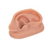 3B Scientific N15/1R SKINlike Silicone Right Acupuncture Ear Model, 3.7" x 2.4" x 1.6"...