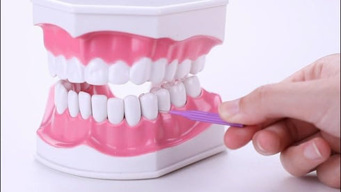 Patelai 100 Pieces Braces Brush for Cleaner Interdental Brush Toothpick Dental Flossing Head Oral Hygiene Flosser Tooth Cleaning Tool (Gray)...