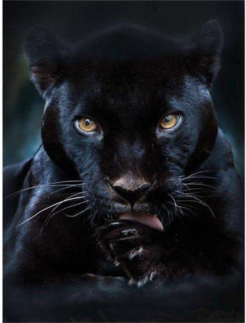 DIY Diamond Painting Kits for Adults Full Drill Black Panther 5D Rhinestones Embroidery Cross Stitch Decompression Crafts,Wall Decoration (8x12Inc...