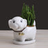 Cute Dog Succulent Planter Pot with Drainage Tray, White Ceramic Flower/Cactus Container, Animal Bonsai Holder for Air Plants...