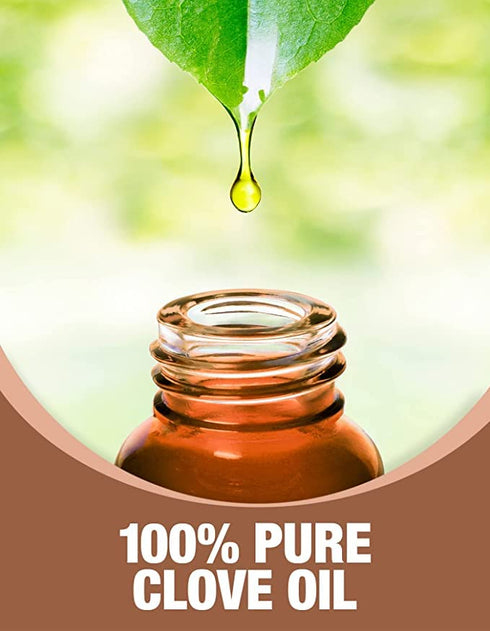 Ethereal Nature Pure Essential Oil 5ml 3 Pack- The Great Outdoors (Cinnamon Clove and Cedar)...