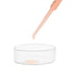 EISCO Petri Dish, 2" (50mm) - Beaded Edges Easy to Sterilize for Repeated Use Borosilicate Glass- Eisco Labs...