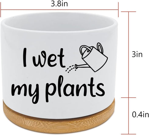 Funny Ceramic Succulent Cactus Planter Pot - I Wet My Plants White Mini Cactus Plant Office Garden Home Decor for Teacher, Mom, Grandma, Plant Lov...