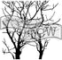 The Crafter's Workshop Set of 2 Stencils - Branches Reversed 12" x 12" Large and 6" x 6" Mini - Includes 1 Each TCW251 and TCW251s - Bundle 2 Item...