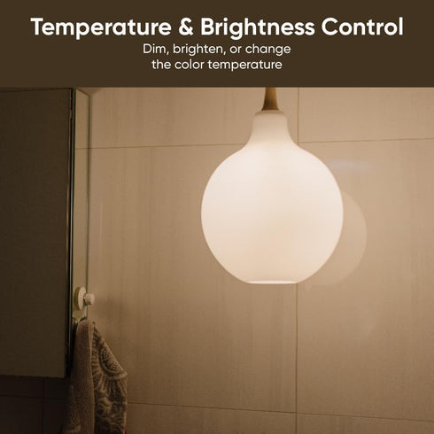 Bulb White, 800LM Tunable-White Wi-Fi Smart Light Bulb, Work with Alexa and Google Assistant, 2.4GHz, No Hub Required, A19 Dimmable, 2700K - 6500K...
