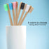 Toothbrush Soft Nylon 6 Colors Recyclable Toothbrushes for Person Oral Care(Blue)...