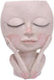 Face Flower Pot Head Planter Pot Cute Lady Face Succulent Planter Resin Cactus Planter Funny Head Plant Pot for Home Garden (Corlor A)...