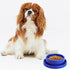 Ants Away Dog Bowl Cat Puppy Food Bowls Round No Spill Eating Feeder for Small Animals Blue S...