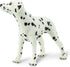 Safari Ltd Best in Show Dalmatian...