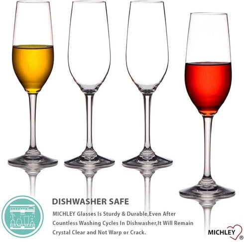 MICHLEY Tritan Champagne Flutes Glassware 6 oz, Set of 4 Unbreakable Plastic Wine Glasses, Crystal Clear, Dishwasher-safe...