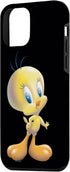iPhone 12 mini Looney Tunes Tweety Bird Airbrushed Case...