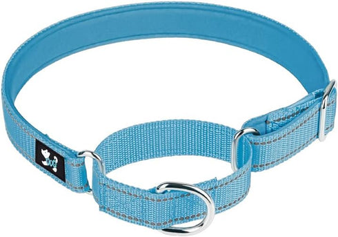 Adjustable Martingale Safety Training Dog Collars, Soft Neoprene Padded Breathable Nylon Pet Collar for Small Medium Large Dogs (L, Blue)...