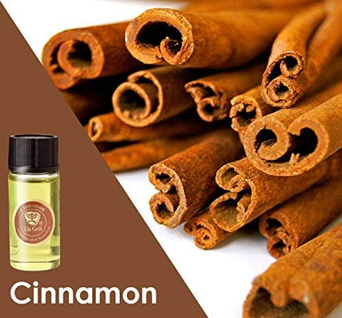 Anointing Oil from Israel - Set of 3 Anointing Oil from Jerusalem - Pomergranate, Cinnamon & Cedar of Lebanon Biblical Oils | Total Amount 1oz Ano...