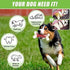 Dog Toys for Aggressive Chewers, Indestructible Large Dogs,Real Bacon Flavored,Dog Chew Toy Bones Medium/Large Breed Dogs,Best to Keep Them Busy (...