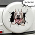 Funny Crack Dog Car Sticker 3 PCS, 3D Car Window Clings Labrador Golden Retriever Pitbull Realistic Animal Truck Wall Decal Pet Vinyl Static Stick...
