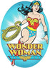 Playhouse DC Comics Wonder Woman 24-piece Die-Cut Shaped Mini Puzzle for Kids...
