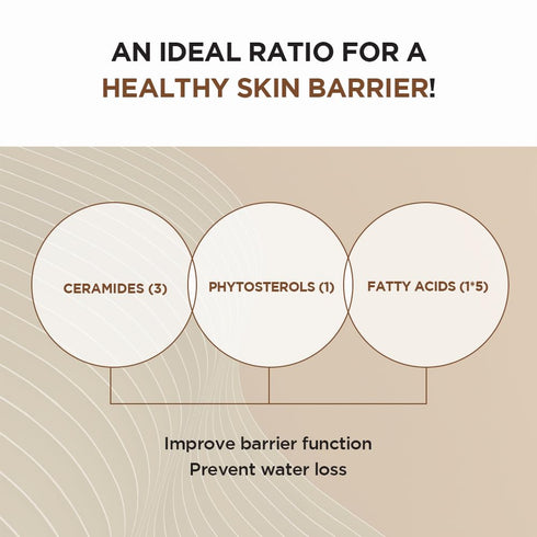 SKIN1004 Madagascar Centella Probio-Cica Intensive Ampoule (50ml)...