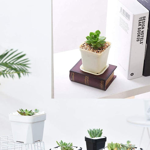 OJYUDD 3inch White Square Plastic Pots with Saucer, Drainage Hole, 24 Pcs, for Flower/Plant, Home,Company,Office and Garden(White)...