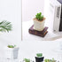 OJYUDD 3inch White Square Plastic Pots with Saucer, Drainage Hole, 24 Pcs, for Flower/Plant, Home,Company,Office and Garden(White)...