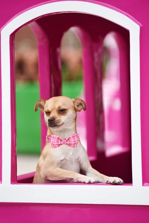 Lionheart glory Pink Plaid Dog Collar, Adjustable Dog Collar with Bowtie, Pet Gift Girl Collar for Dog Soft Bowtie Dog Collars for X-Small Puppy...