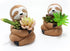 Succulent Planter Pot Animal Pot, Cactus Plant Pot Cute Sloth Design with Drainage Hole, Small Resin Flower Pot for Indoor Outdoor Decor...