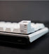 Custom keycaps for Esc Key and Tab Key, Magne.tic and Light-Transmission Design, fits Most Keyboards Especially 60% Mechanical Gaming Keyboard...