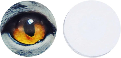 8MM 100PCS Owl Snake Lizard Animal Eyes Glass Cabochon for Clay Doll Making Sculptures Props Craft Jewelry DIY Findings 0.31inches...